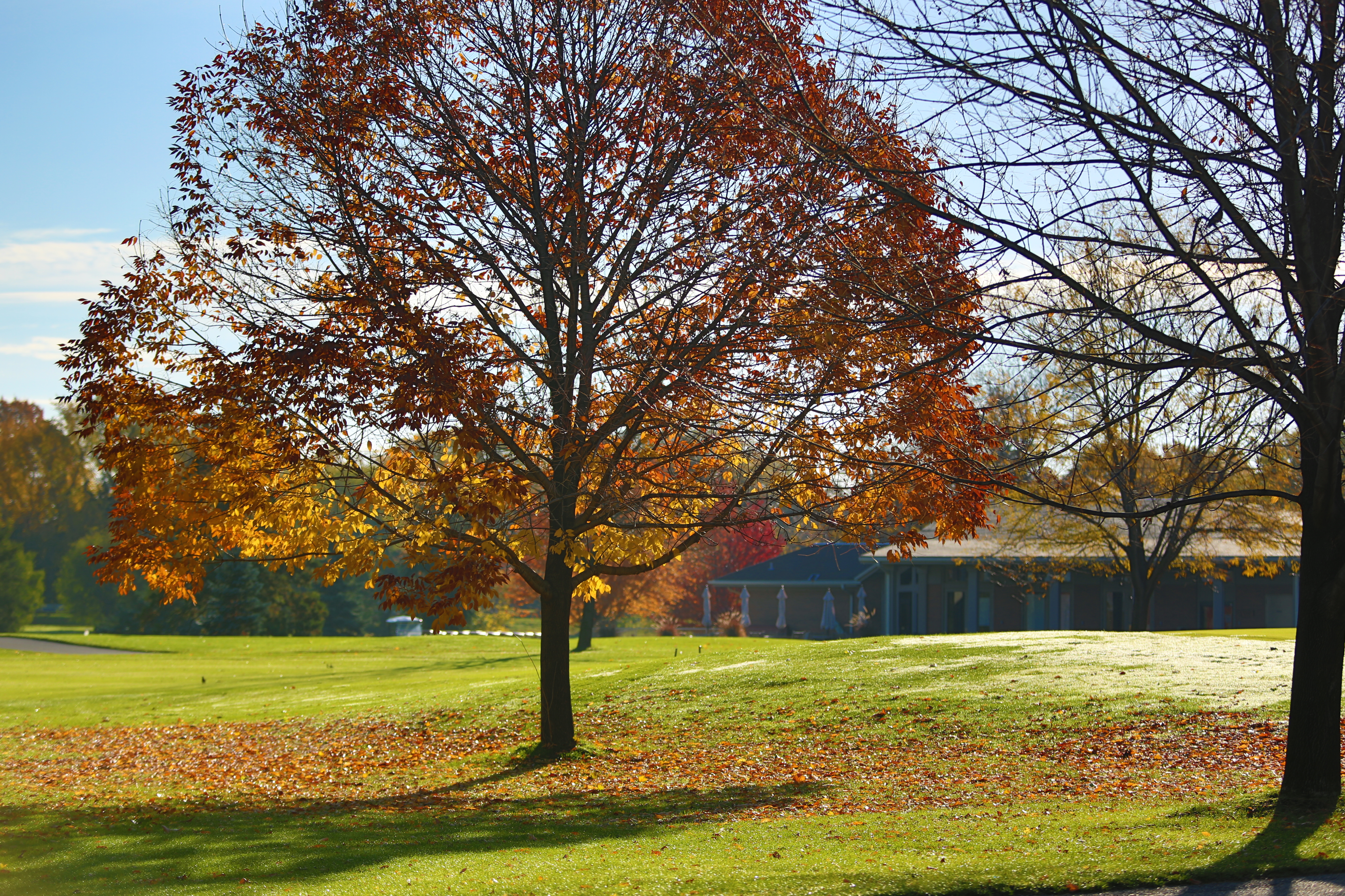 The Oakbrook Golf Club a Hidden Gem