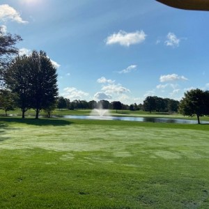 Early Birdies Stretch & Swing